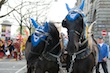 sechselaeuten2009_146.jpg