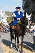 sechselaeuten2009_150.jpg
