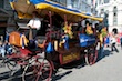 sechselaeuten2009_170.jpg