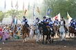 sechselaeuten2009_207.jpg